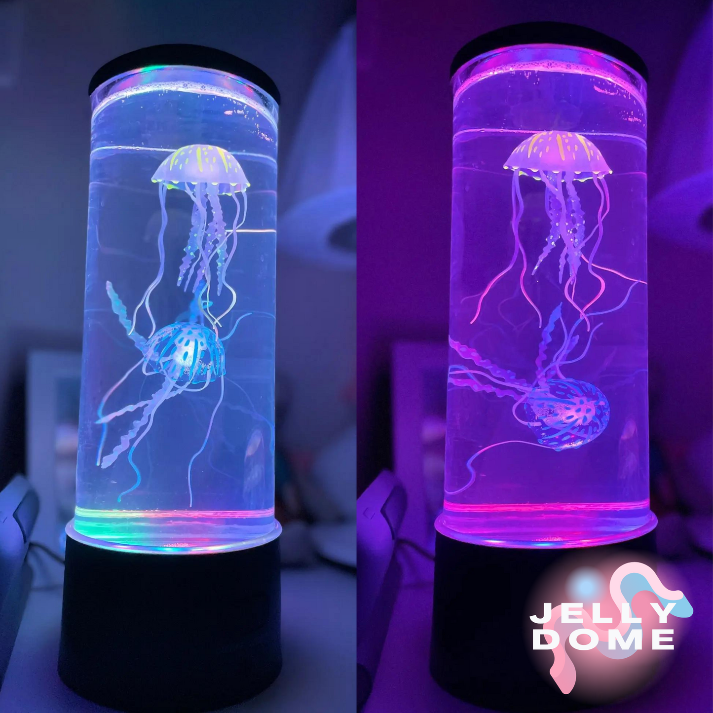 VIRAL TIKTOK "JELLYDOME 2.0®"