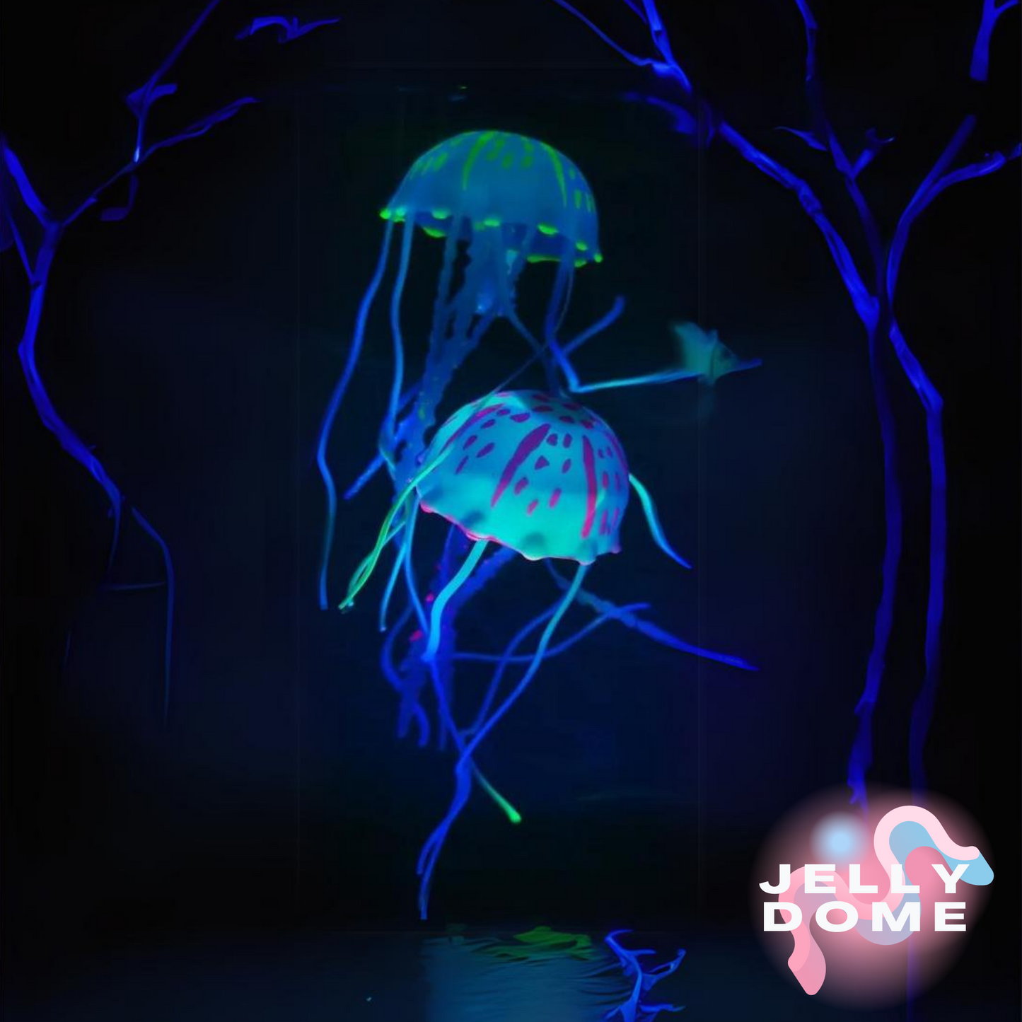 VIRAL TIKTOK "JELLYDOME 2.0®"