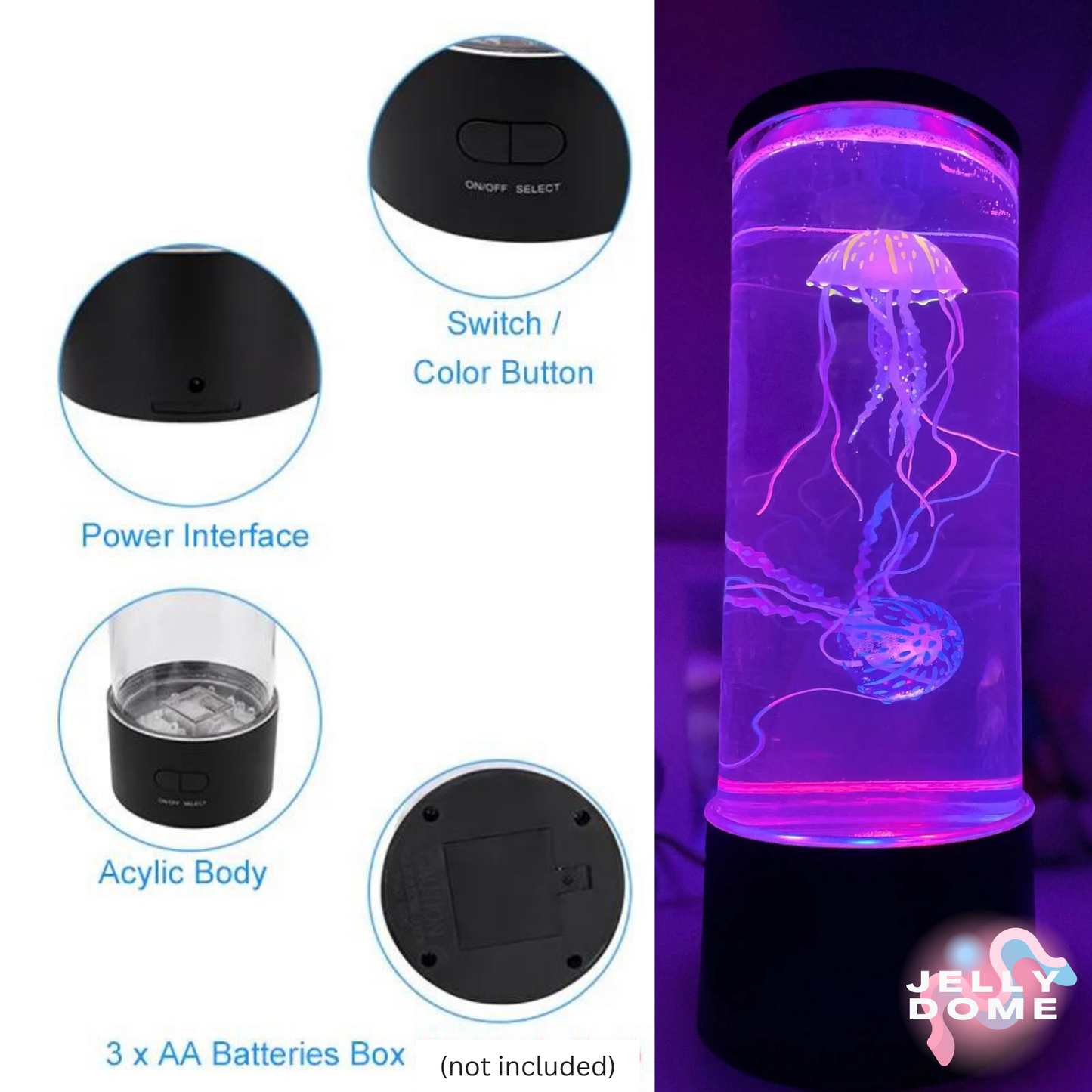 VIRAL TIKTOK "JELLYDOME 2.0®"